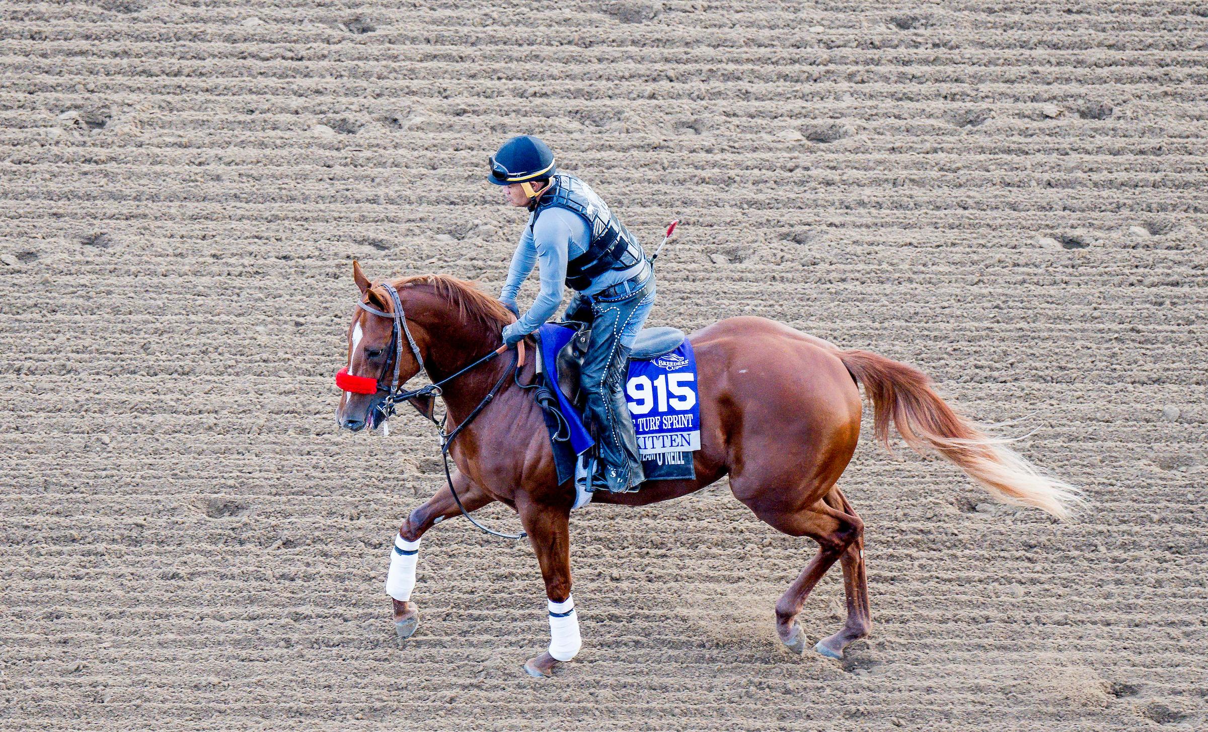 Pali Kitten, Breeders’ Cup Juvenile Turf Sprint, Del Mar